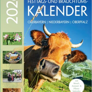 Kalenderbuch Titelbatt 2026 braune Kuh mit Hörnern