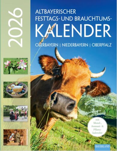 Kalenderbuch Titelbatt 2026 braune Kuh mit Hörnern