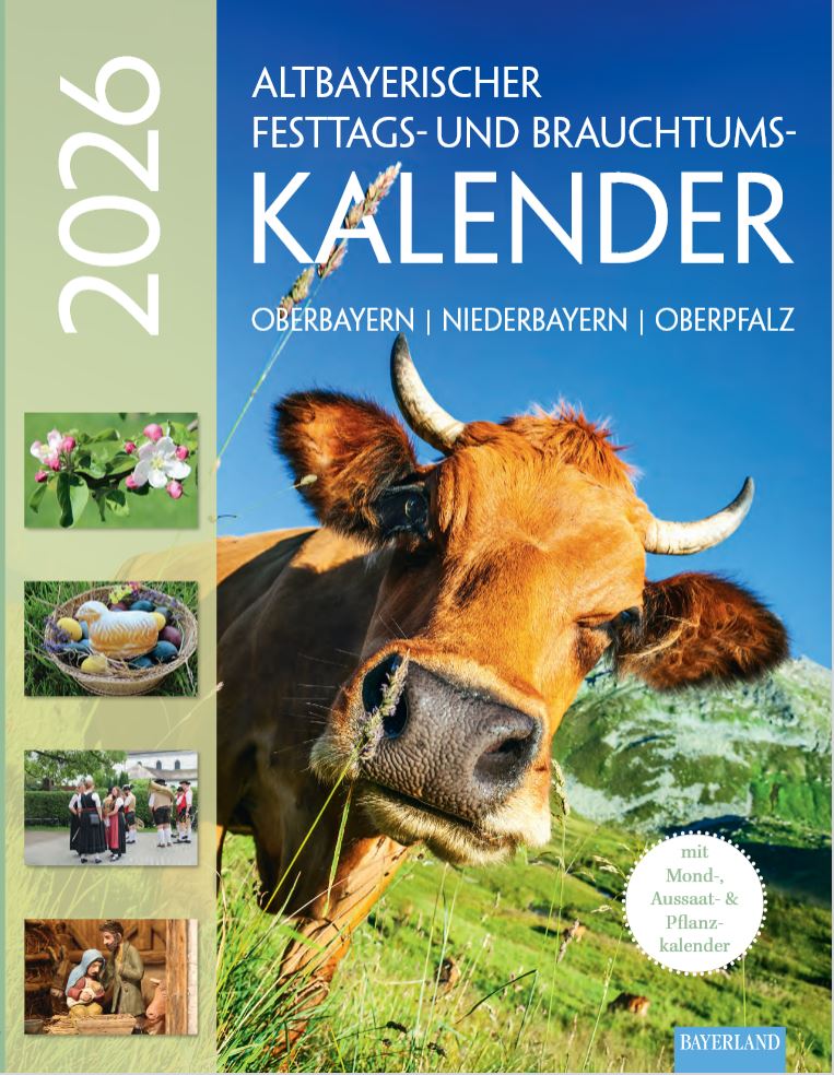 Kalenderbuch Titelbatt 2026 braune Kuh mit Hörnern